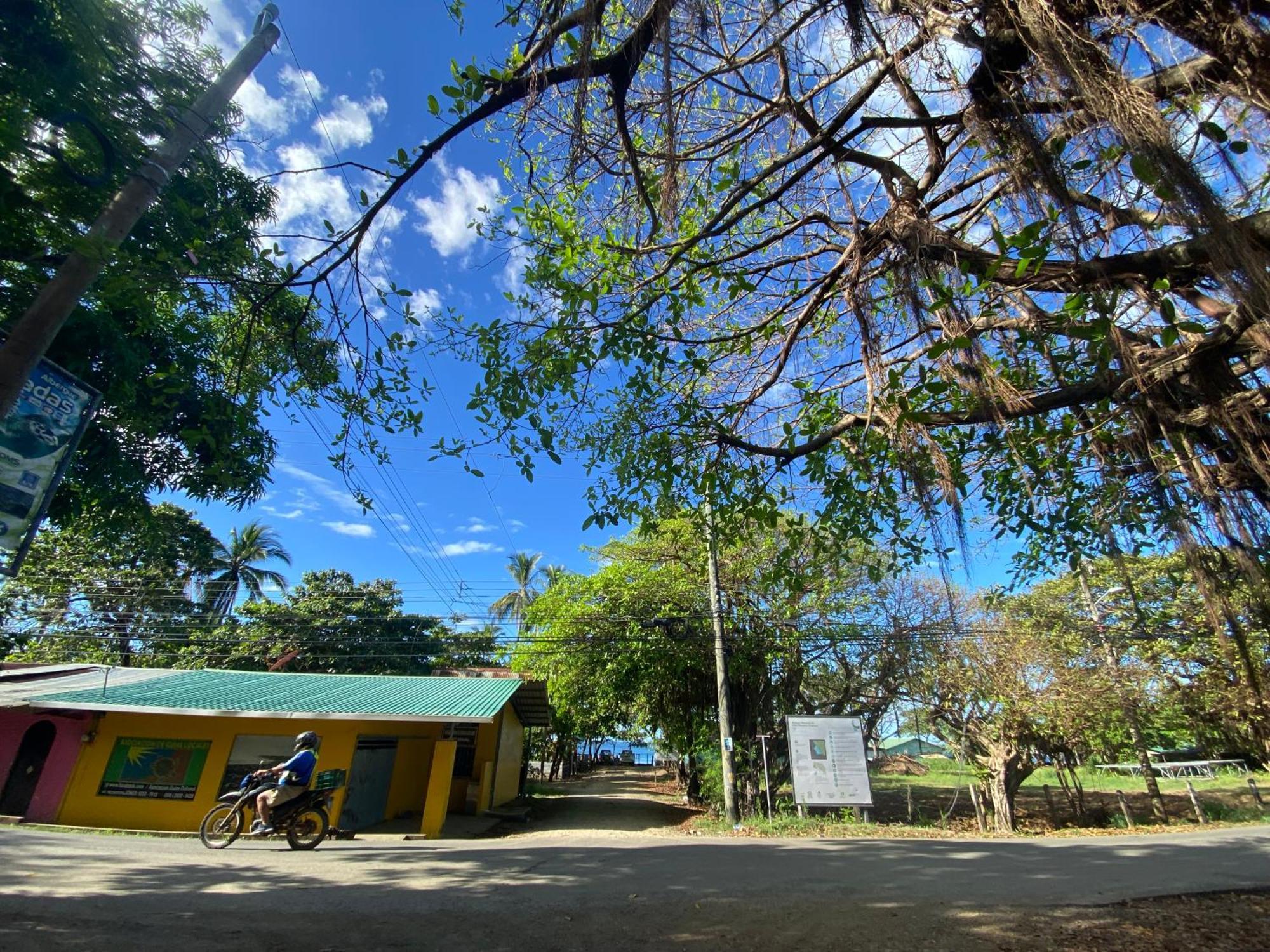 Cabinas Surf Arribadas Ostional Wildlife Refuge Buitenkant foto